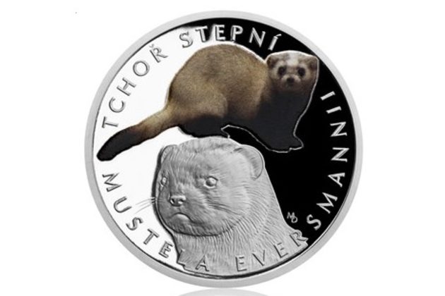 Stříbrná mince Ohrožená příroda - Tchoř stepní provedení proof (ČM 2018)
