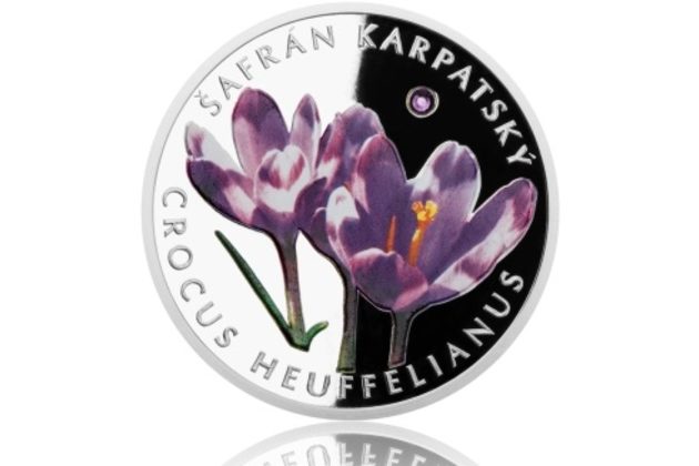 Stříbrná mince Ohrožená příroda - Šafrán karpatský provedení proof (ČM 2015)