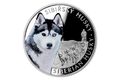 Stříbrná mince Psí plemena - Sibiřský husky proof (ČM 2023)  