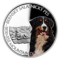 Stříbrná mince Psí plemena - Bernský salašnický proof (ČM 2022)  