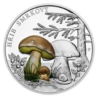 Stříbrná mince Houby - Hřib smrkový kolor proof (ČM 2026)   