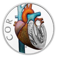 Stříbrná mince Lidské tělo - Oběhová soustava - Srdce proof (ČM 2026)