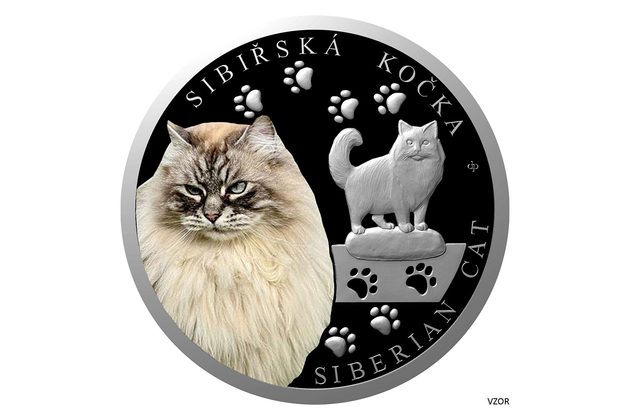 Stříbrná mince Plemena koček - Sibiřská kočka  proof (ČM 2026) 