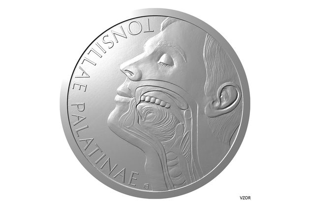 Stříbrná mince Lidské tělo - Lymfatická soustava - Krční mandle proof (ČM 2026) 