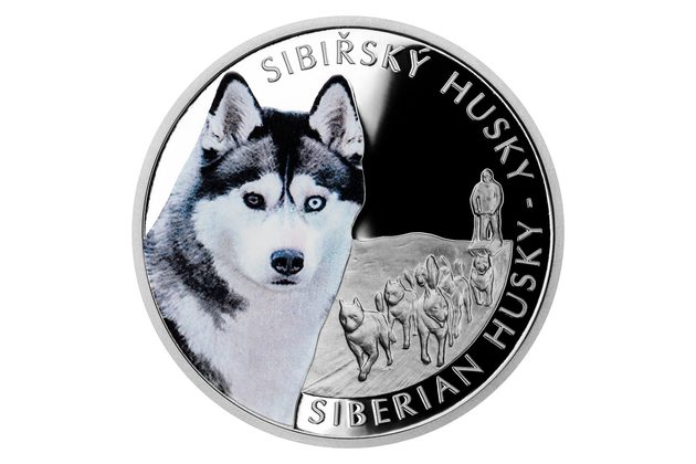 Stříbrná mince Psí plemena - Sibiřský husky proof (ČM 2023)  