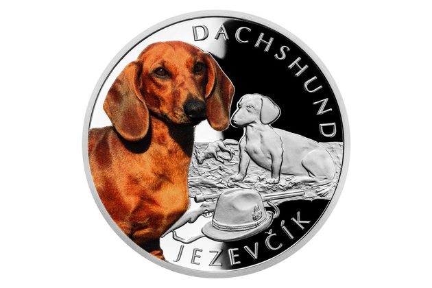 Stříbrná mince Psí plemena - Jezevčík proof (ČM 2021) 