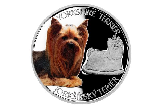 Stříbrná mince Psí plemena - Jorkšírský teriér proof (ČM 2021)  