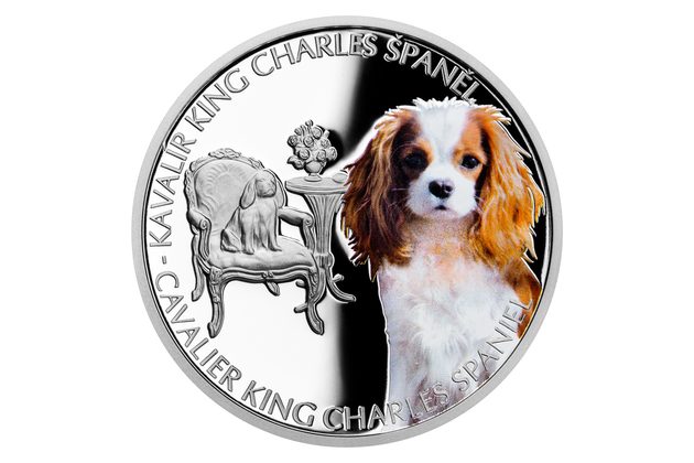 Stříbrná mince Psí plemena - Kavalír King Charles španěl proof (ČM 2023) 