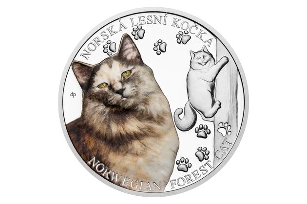 Stříbrná mince Plemena koček - Norská lesní kočka proof (ČM 2026)