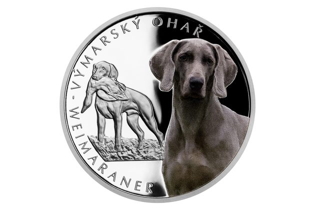 Stříbrná mince Psí plemena - Ohař proof (ČM 2022)