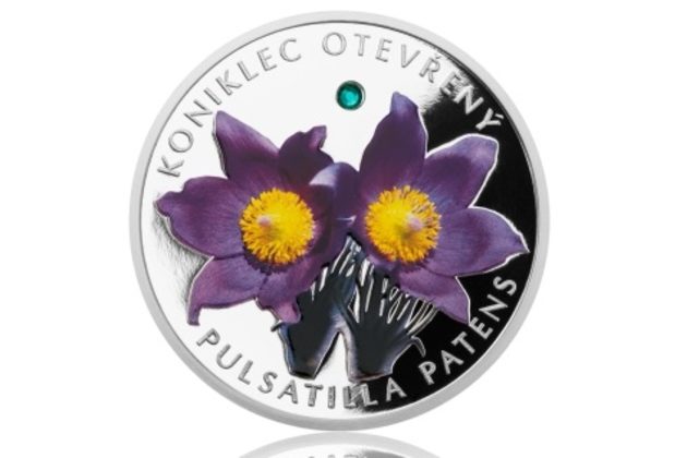 Stříbrná mince Ohrožená příroda - Koniklec otevřený provedení proof (ČM 2014)